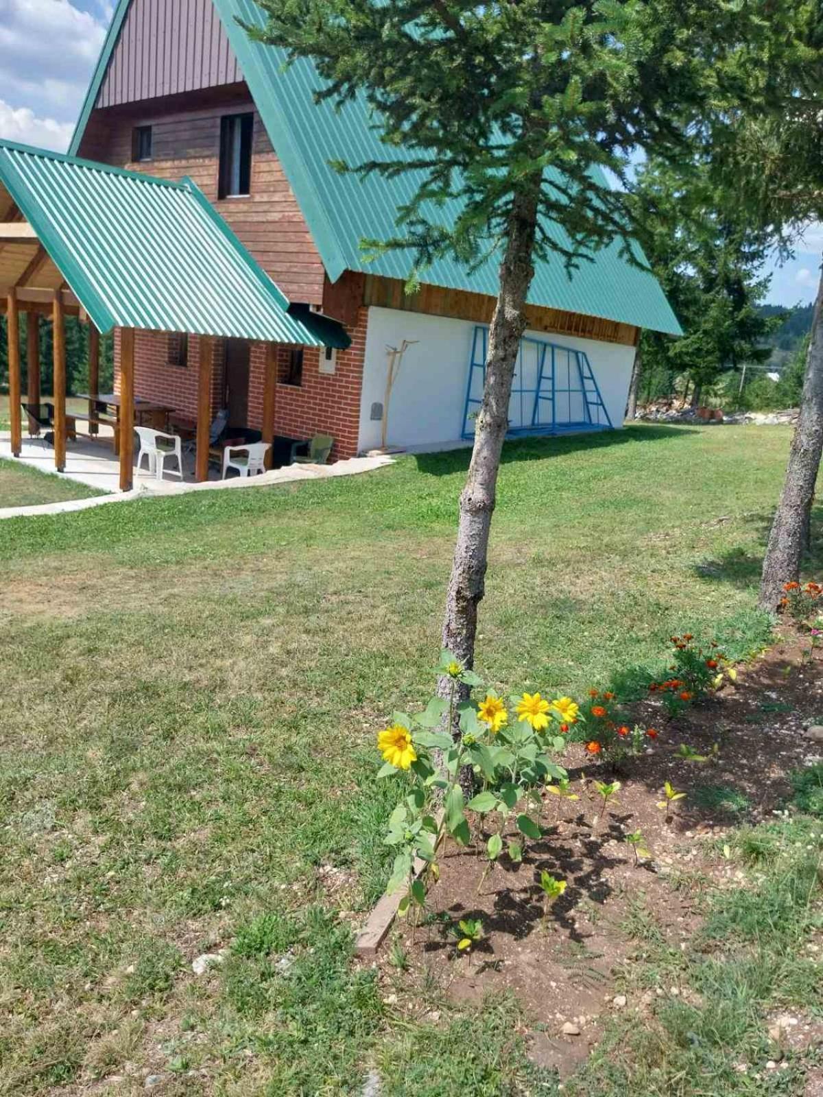 House In Forest Žabljak Esterno foto