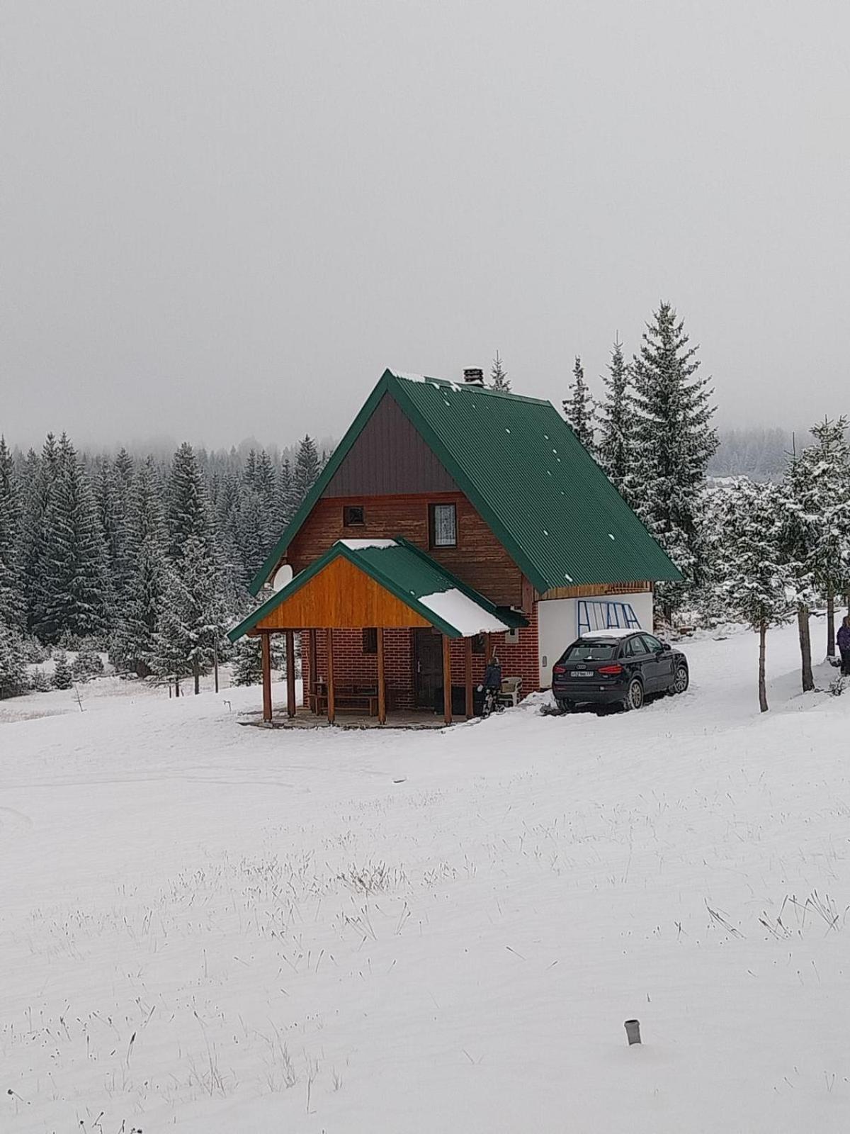 House In Forest Žabljak Esterno foto