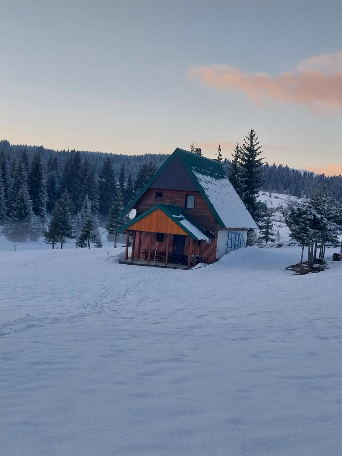 House In Forest Žabljak Esterno foto