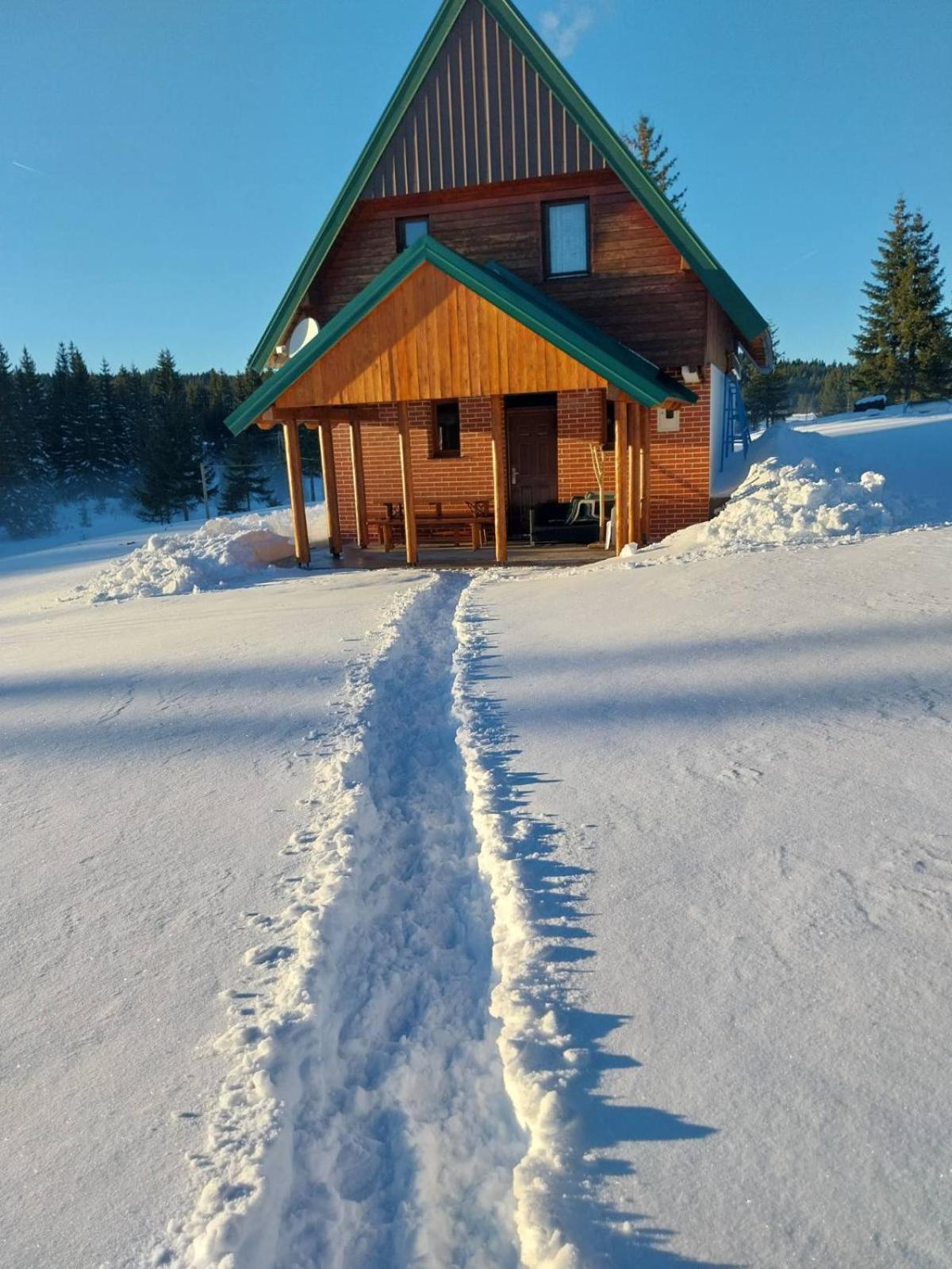 House In Forest Žabljak Esterno foto