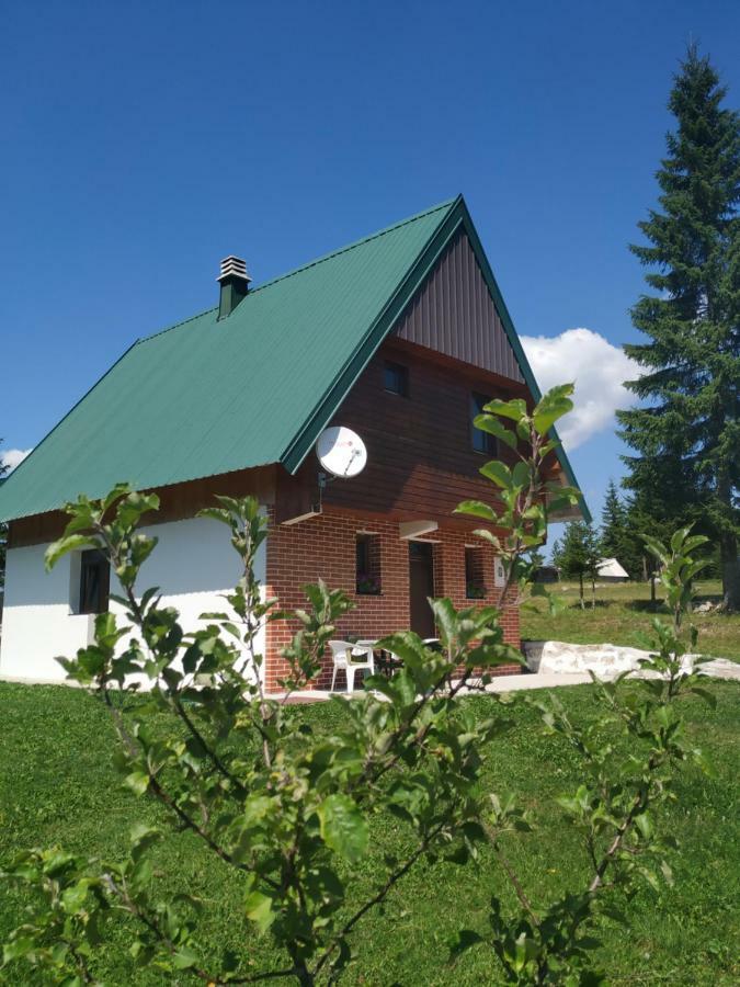 House In Forest Žabljak Esterno foto