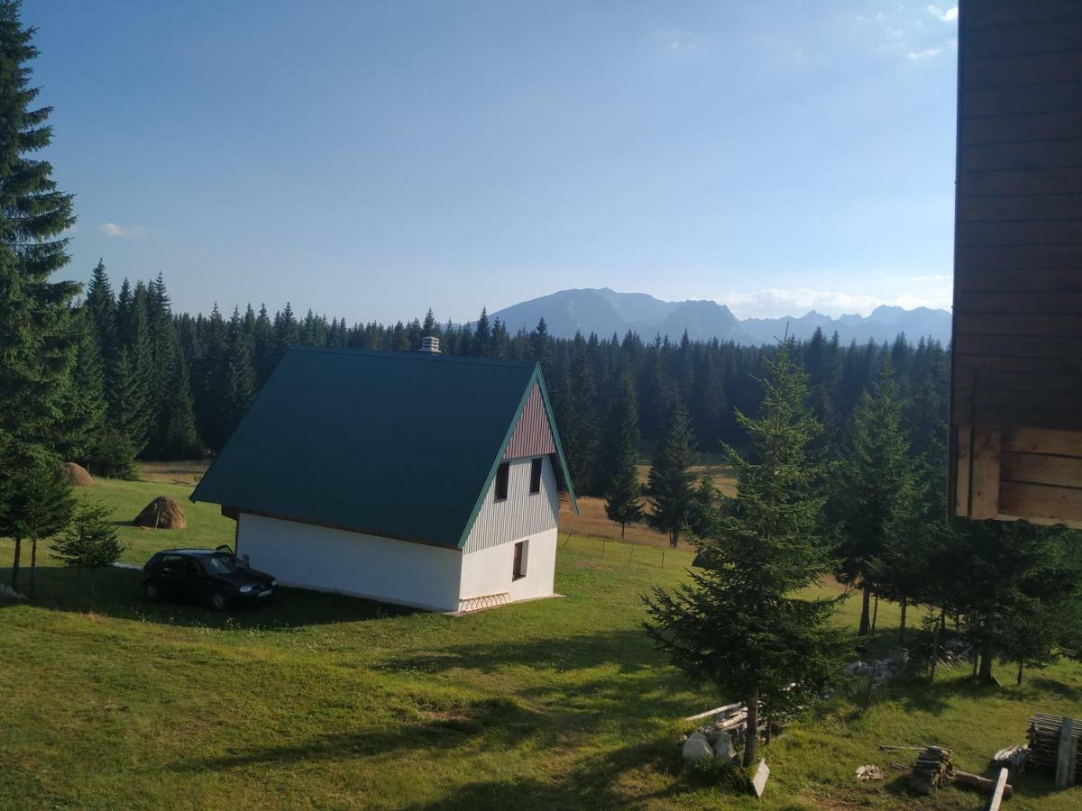 House In Forest Žabljak Esterno foto