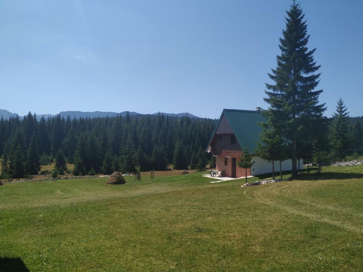 House In Forest Žabljak Esterno foto